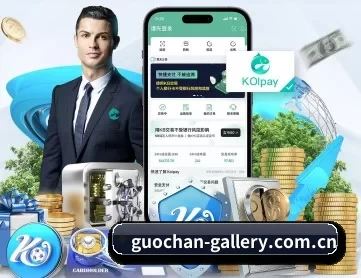 国产视频更新 APP 深度功能