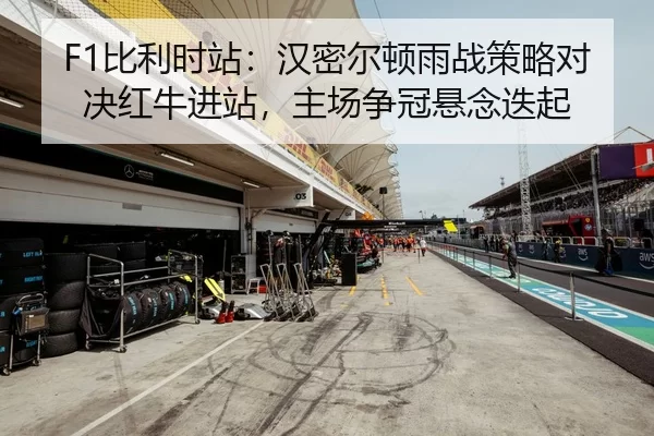 bi-li-shi-zhan-han-mi-er-dun-yu-zhan-ce-lve-dui-jue-hong-niu-jin-zhan-zhu-chang-zheng-guan-xuan-nian-die-qi-2-722.jpg